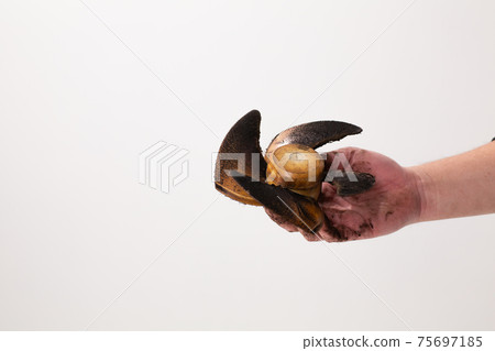 通風風扇的機翼髒了 75697185