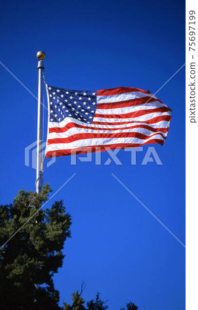 American Flag American Flag 75697199