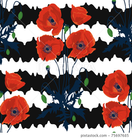 Seamless pattern with hand drawn red poppy flowers on black and white stripes background. Vector illustration Seamless pattern with hand drawn red poppy flowers on black and white stripes background. Vector illustration 75697685