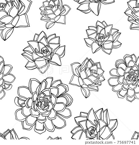Hand drawn doodle style seamless pattern with common houseleek, Sempervivum tectorum succulents Hand drawn doodle style seamless pattern with common houseleek, Sempervivum tectorum succulents 75697741