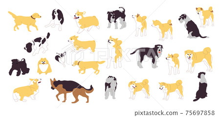Set of different dogs. Big collection of dog breeds. Isolated on white background. Flat style cartoon stock vector 75697858