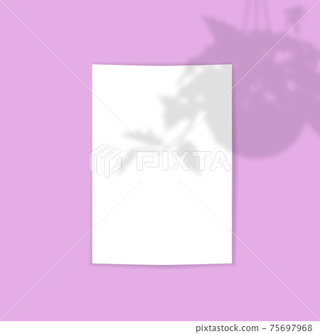Card template with tropical plant in hanging planter shadow overlay effect decoration. vector illustration Card template with tropical plant in hanging planter shadow overlay effect decoration. vector illustration 75697968