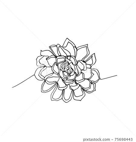 Hand drawn minimalistic succulent, one single... - Stock Illustration  [75698443] - PIXTA