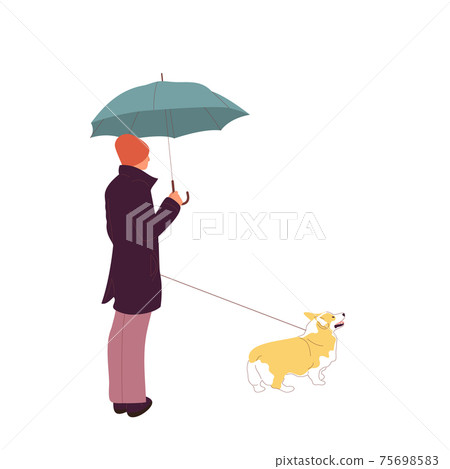 Young man is walking with a corgi dog on a leash. Isolated on white background. Flat style cartoon stock vector Young man is walking with a corgi dog on a leash. Isolated on white background. Flat style cartoon stock vector 75698583