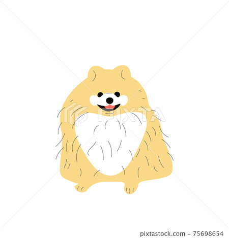 Cute pomeranian puppy, spitz little dog. 75698654