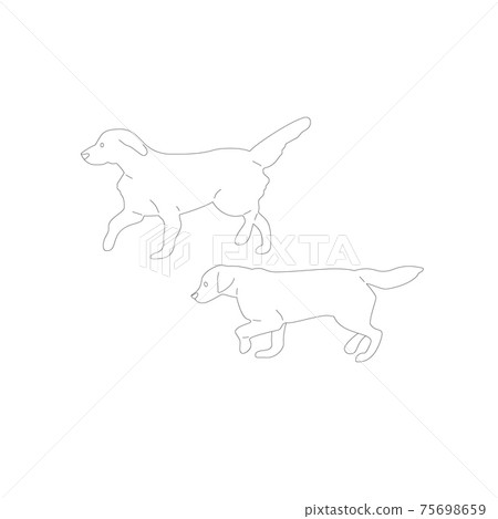 Set of two walking labrador retriever dogs. Isolated on white background. Flat style cartoon stock vector Set of two walking labrador retriever dogs. Isolated on white background. Flat style cartoon stock vector 75698659