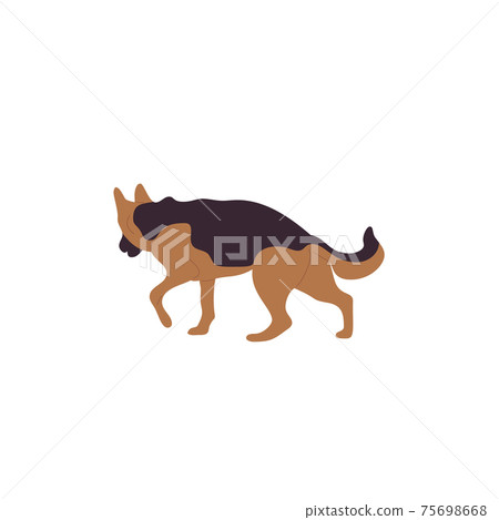 German shepherd dog walking. Isolated on white background. Flat style cartoon stock vector German shepherd dog walking. Isolated on white background. Flat style cartoon stock vector 75698668