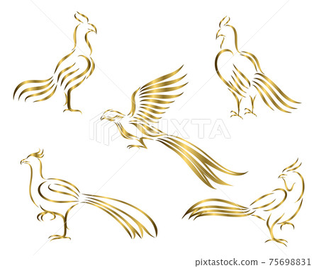 golden Chicken and pheasant line art vector picture It's a set of five pictures. 75698831