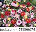 Bouquet 75699076