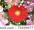 Bouquet 75699077