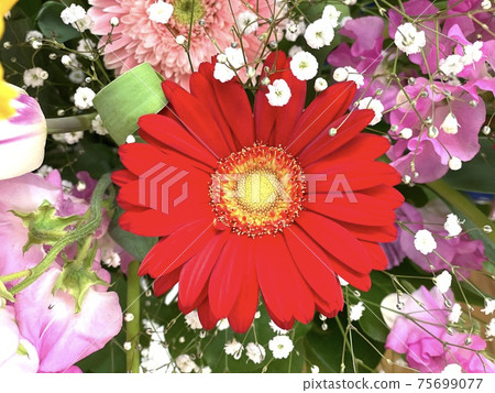 Bouquet 75699077