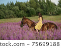 Beautiful woman with long hair in yellow dress riding bareback a brown horse in among purple flowers in green field 75699188