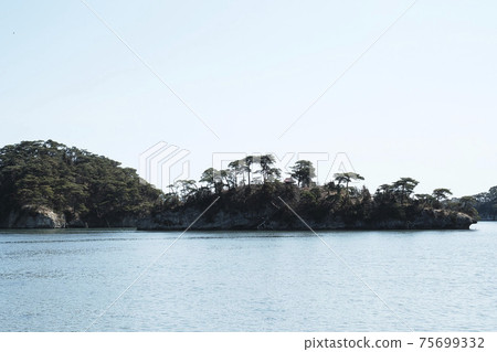 Scenery of Matsushima Bay Scenery of Matsushima Bay 75699332
