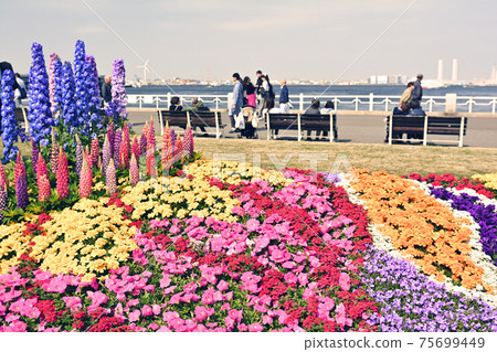 Yokohama · Yamashita Park 75699449