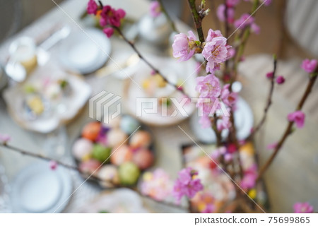 Plum blossom spring home party 75699865
