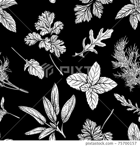 Wild grass seamless pattern. Field herbs and garden medical plants, useful seasonings. Hand-drawn vector illustration Wild grass seamless pattern. Field herbs and garden medical plants, useful seasonings. Hand-drawn vector illustration 75700157