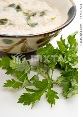 Hoochie酒吧多汁和hooch酒吧粥和艾蒿 75700784