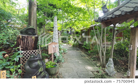 Nyoirinji Temple, also known as Frog Temple 75700945