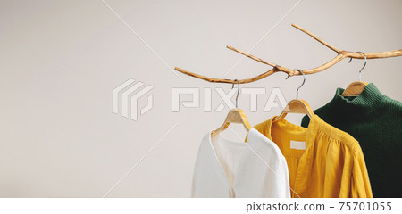 Clothes Concept. Women Wear Hanging on Dried Tree Branch. Shadow shading on the White Wall Clothes Concept. Women Wear Hanging on Dried Tree Branch. Shadow shading on the White Wall 75701055