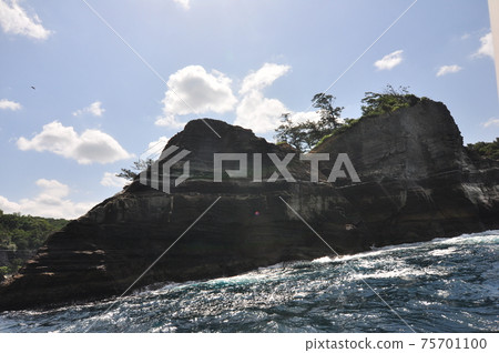 伊豆半島（西伊豆町堂島） 75701100