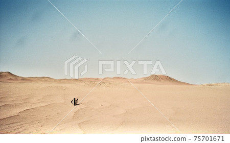 Vast Gobi Desert-March 1991 (Near Yang Pass Ruins, Suburbs of Dunhuang City, Gansu Province / People's Republic of China) Vast Gobi Desert-March 1991 (Near Yang Pass Ruins, Suburbs of Dunhuang City, Gansu Province / People's Republic of China) 75701671
