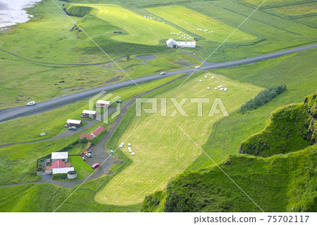 Packed in white bales harvested grass in Iceland field Packed in white bales harvested grass in Iceland field 75702117