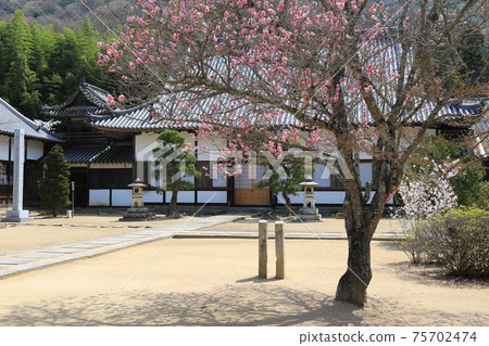 東照寺1 東照寺1 75702474