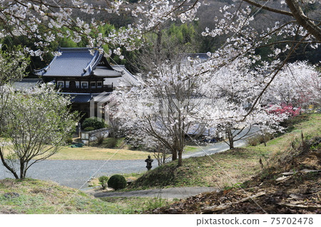 東照寺5 東照寺5 75702478