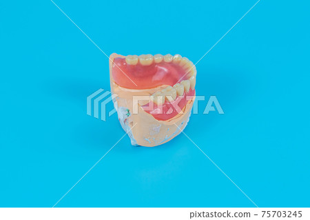 Artificial jaw, visual aid for dentists and patients on a blue background. Artificial jaw, visual aid for dentists and patients on a blue background. 75703245