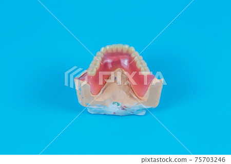 Artificial jaw, visual aid for dentists and patients on a blue background. 75703246