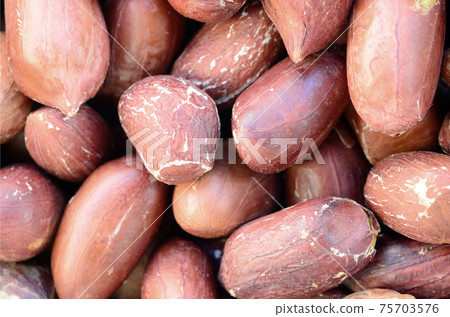 Peanut. A lot of small yellow nuts with brown peel. Background texture Peanut. A lot of small yellow nuts with brown peel. Background texture 75703576