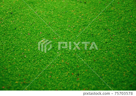 Texture of a colored granular sand close up. Green grains Texture of a colored granular sand close up. Green grains 75703578