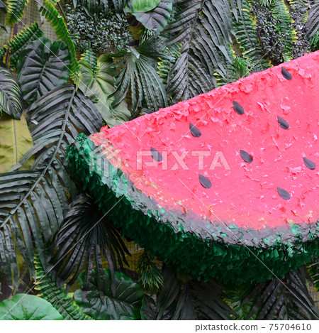 Tropical pattern with jungle leaves and watermelon fruit floral background Tropical pattern with jungle leaves and watermelon fruit floral background 75704610