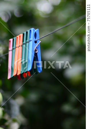 Clothespins on a rope hanging outside house and apple tree 75705111