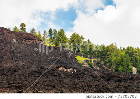 Mount Etna volcanic landscape and its typical vegetation, Sicily Mount Etna volcanic landscape and its typical vegetation, Sicily 75705708