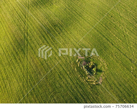 Aerial. Green grass texture background. Top view from drone. 75706634