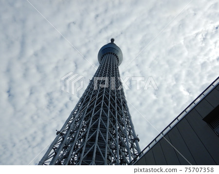 Sky tree Sky tree 75707358