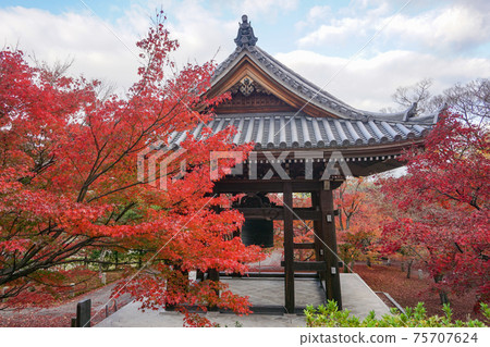 Autumn leaves of Chishakuin Temple in Kyoto 75707624
