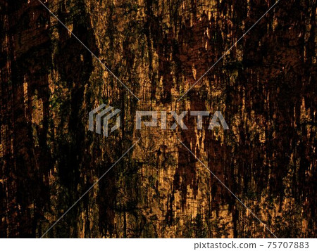 wood texture wood texture 75707883