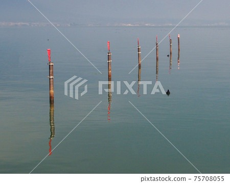 Shiga Prefecture Fantastic view of Lake Biwa 75708055