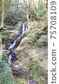Vertical of "Fukuroda no Taki", a tributary of the Shirota River in Shirada, Higashiizu Town, Shizuoka Prefecture 75708109