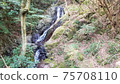 Vertical of "Fukuroda no Taki", a tributary of the Shirota River in Shirada, Higashiizu Town, Shizuoka Prefecture 75708110