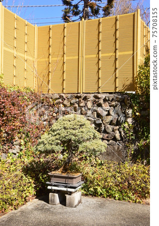 Spring in Takao Komagino Garden Hachioji City 75708155