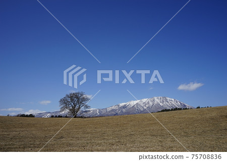Mt. Iwate seen from Koiwai Farm 75708836