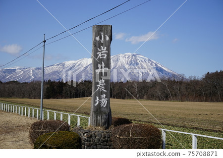 Mt. Iwate seen from Koiwai Farm 75708871