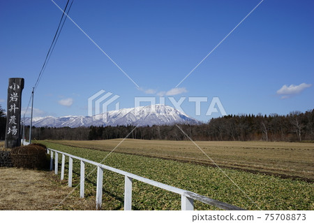 Mt. Iwate seen from Koiwai Farm 75708873