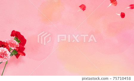 Pink watercolor texture with carnation-There are multiple variations Pink watercolor texture with carnation-There are multiple variations 75710458