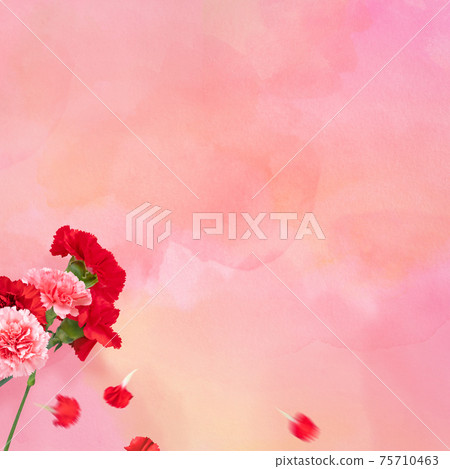 Pink watercolor texture with carnation-There are multiple variations Pink watercolor texture with carnation-There are multiple variations 75710463