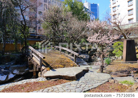 東京文京區湯島天神伏見塚的學習神湯島天神神社 東京文京區湯島天神伏見塚的學習神湯島天神神社 75710856