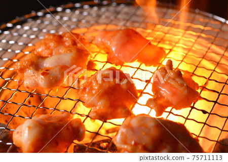Grilled hormone Grilled hormone 75711113